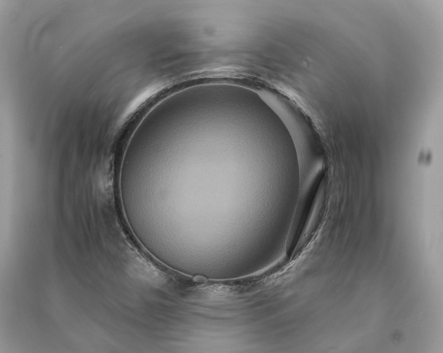 X0000090991450200708091509