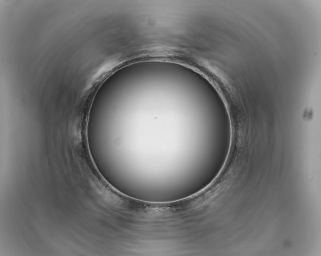 X0000090991451200708091509