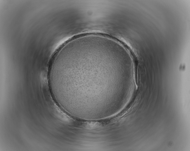 X0000090991452200708091509