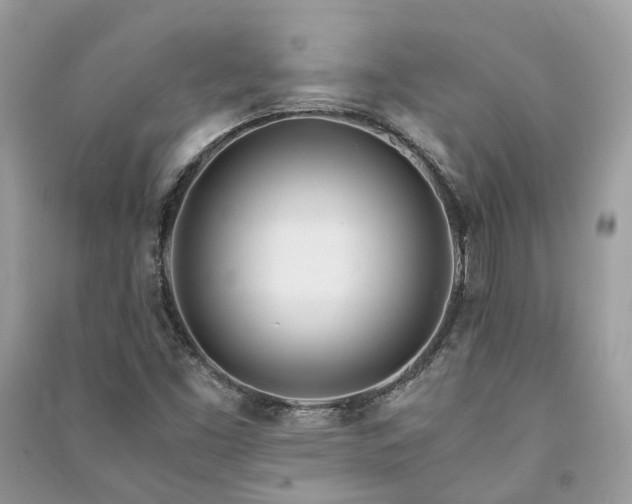 X0000090991453200708091509