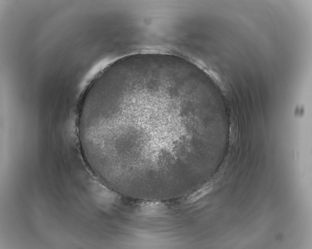 X0000090991454200708091509