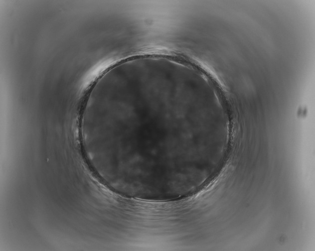 X0000090991455200708091509