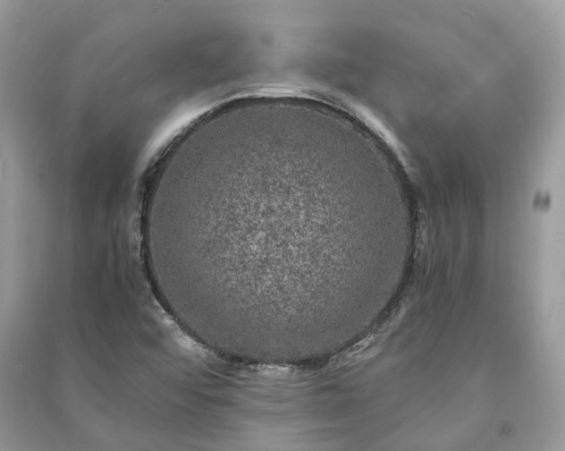 X0000090991456200708091509