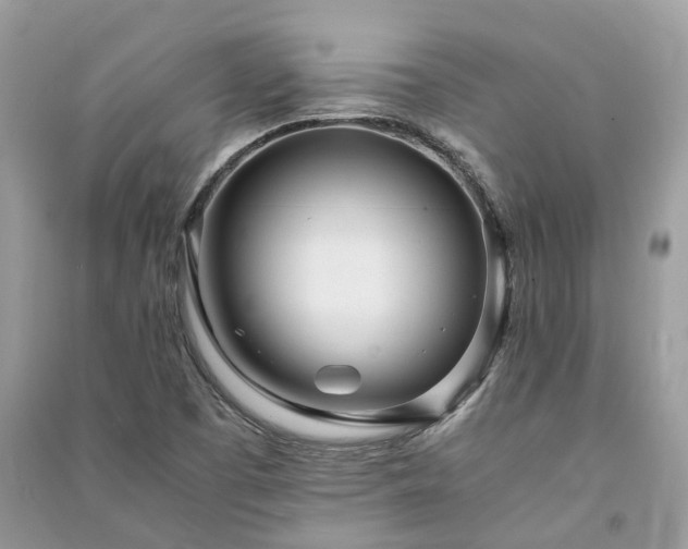 X0000090991457200708091509