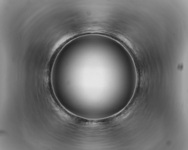 X0000090991458200708091509