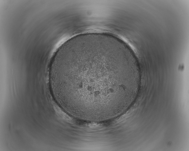 X0000090991459200708091509