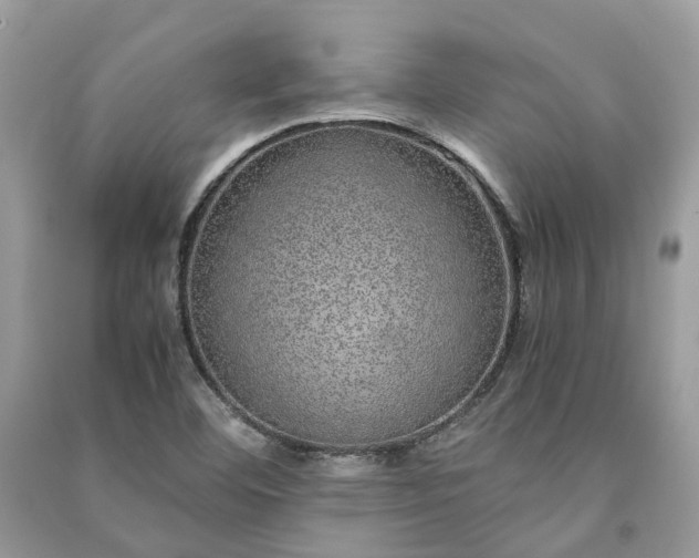 X0000090991460200708091509