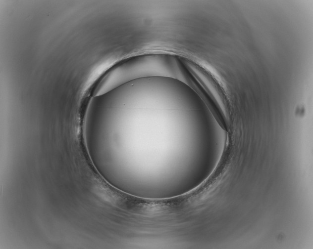 X0000090991461200708091509