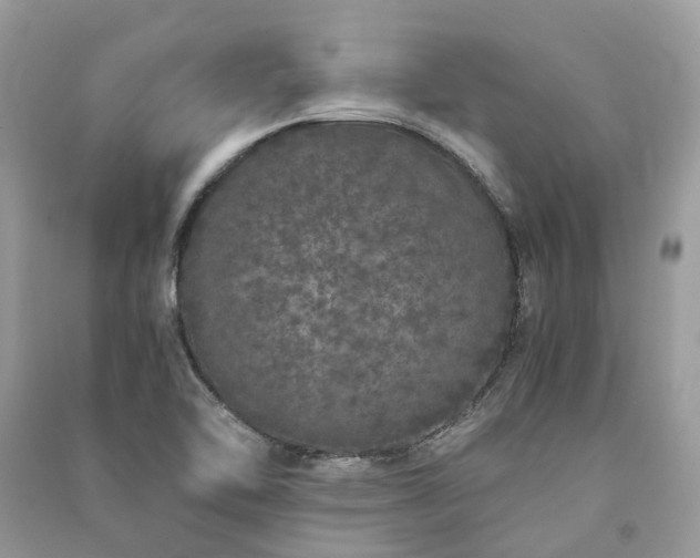 X0000090991462200708091509