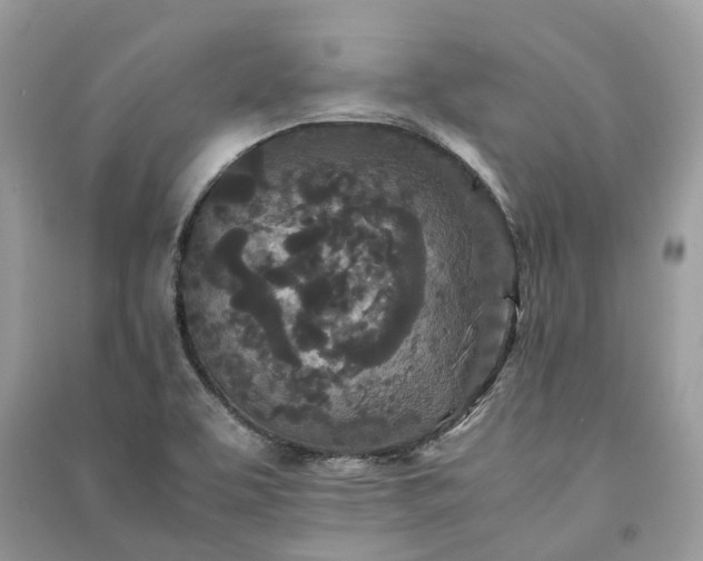 X0000090991463200708091509