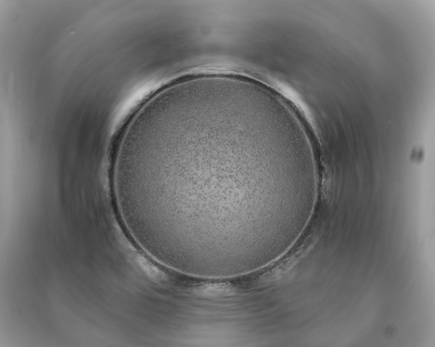 X0000090991464200708091508