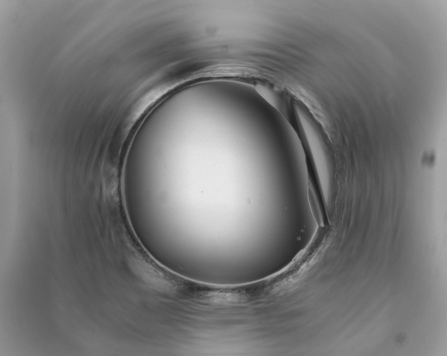 X0000090991465200708091508