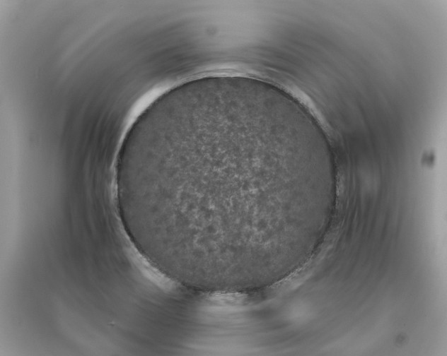 X0000090991466200708091508