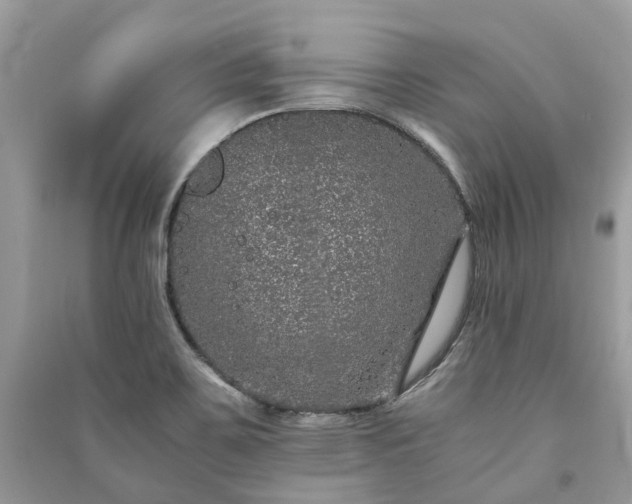 X0000090991467200708091508