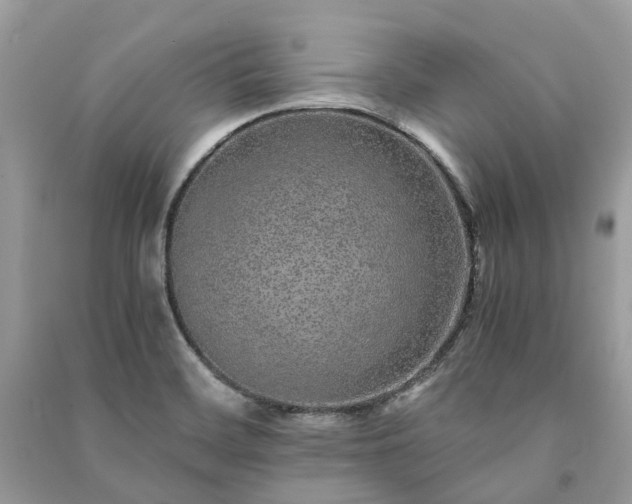 X0000090991468200708091508