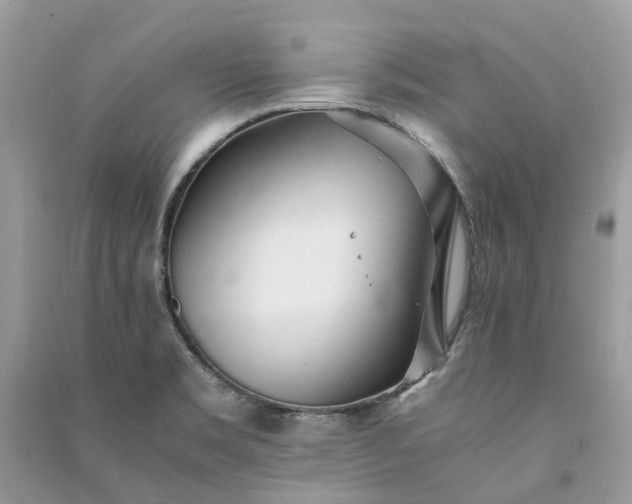 X0000090991469200708091508