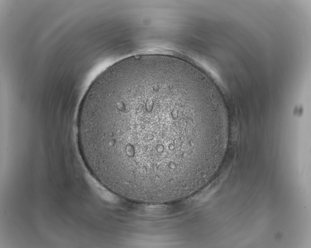 X0000090991471200708091508