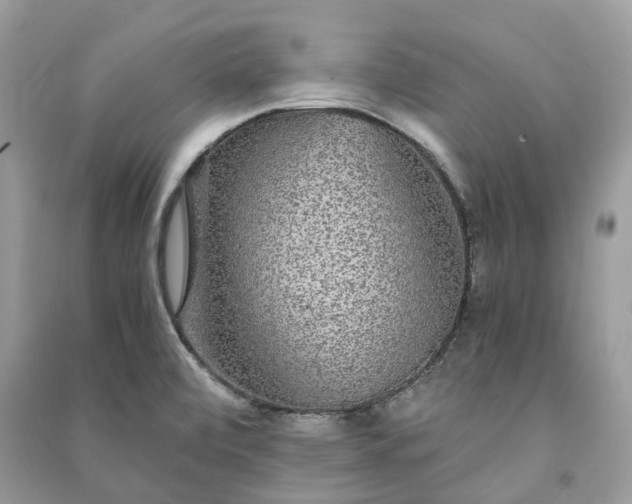 X0000090991472200708091508