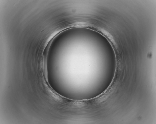 X0000090991473200708091508