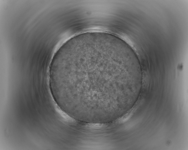 X0000090991474200708091508