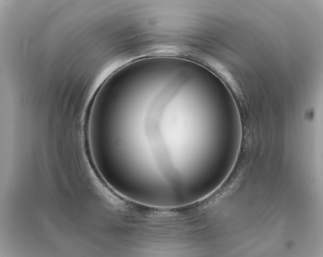 X0000090991475200708091508