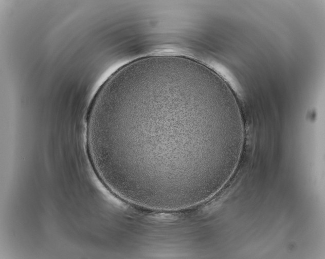 X0000090991476200708091508