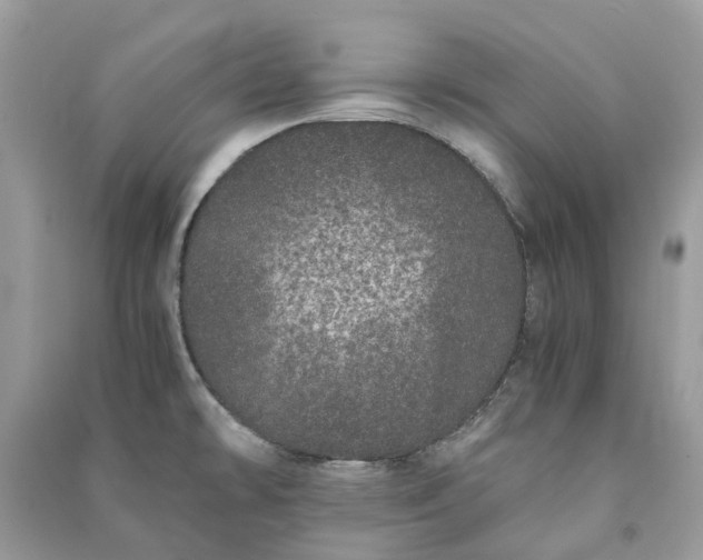 X0000090991478200708091508