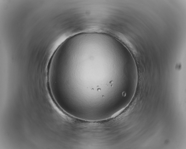 X0000090991479200708091508