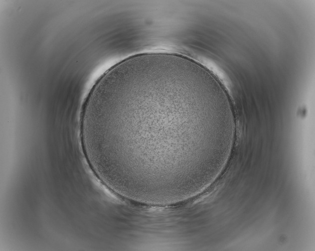 X0000090991480200708091508