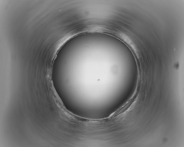 X0000090991481200708091508