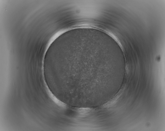 X0000090991482200708091508