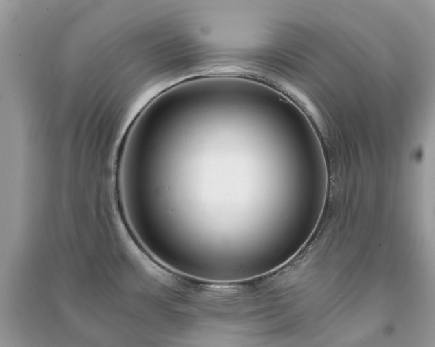 X0000090991483200708091508