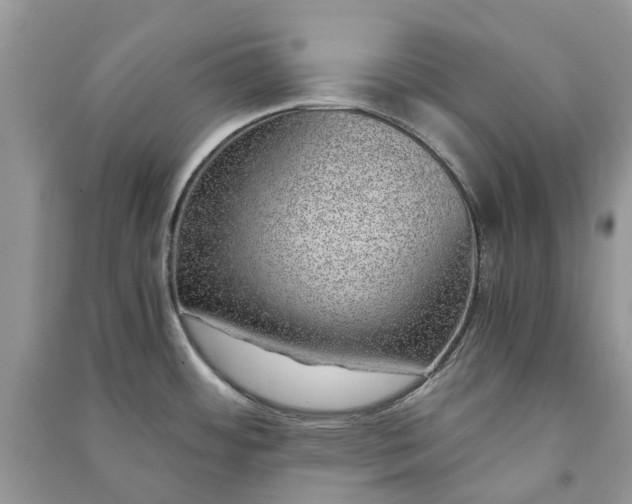 X0000090991484200708091508