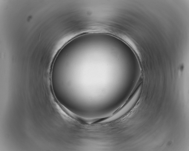 X0000090991485200708091508