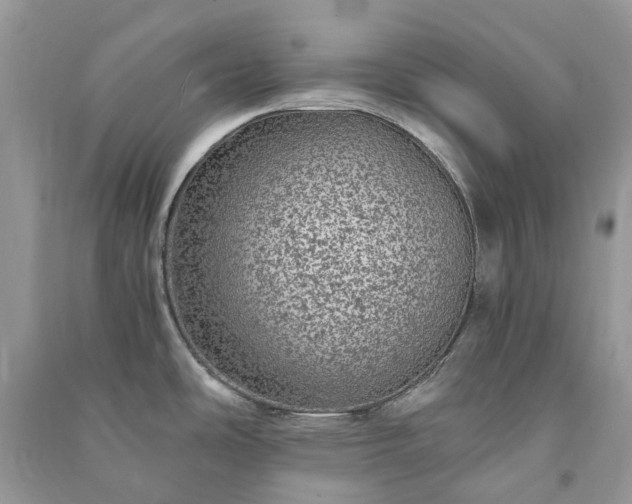 X0000090991486200708091508