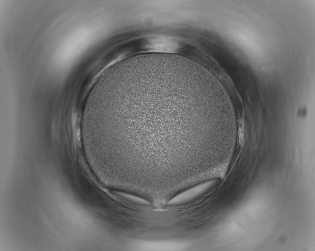 X0000090991487200708091508