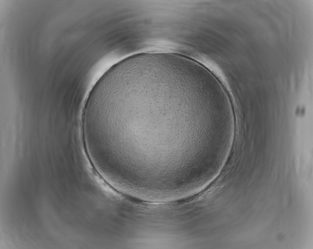 X0000090991488200708091508