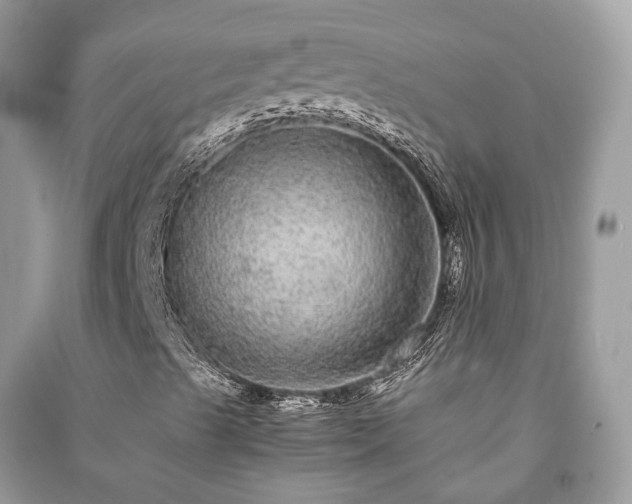 X0000090991489200708091507