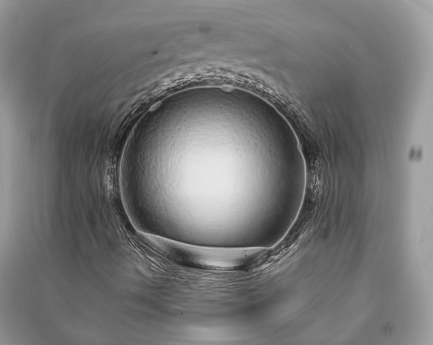 X0000090991490200708091507