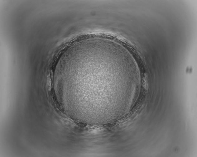 X0000090991493200708091507