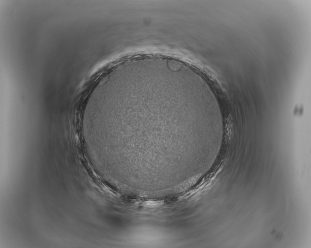 X0000090991494200708091507