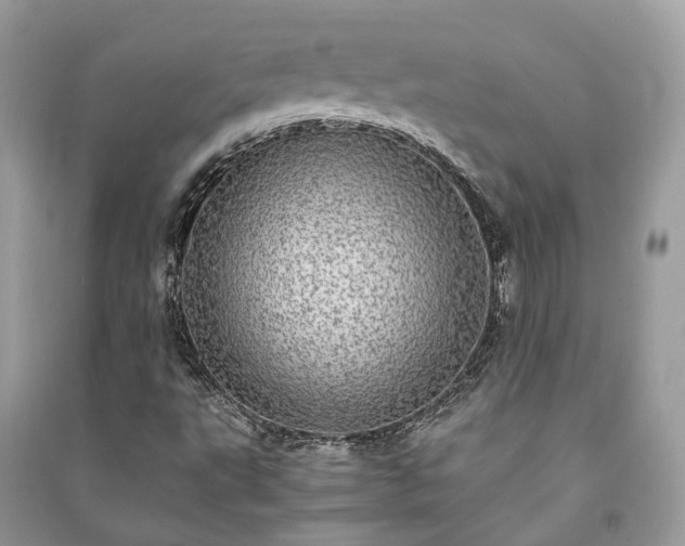 X0000090991495200708091507