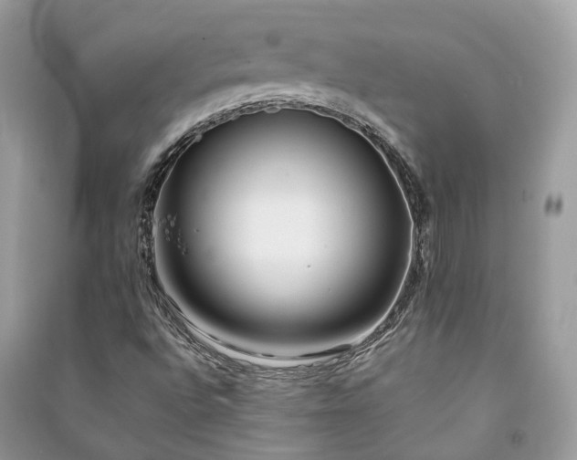 X0000090991496200708091508