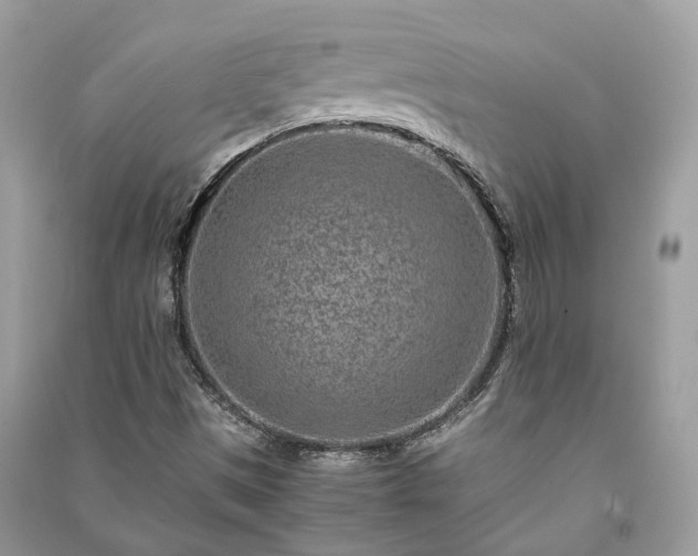 X0000090991497200708091508