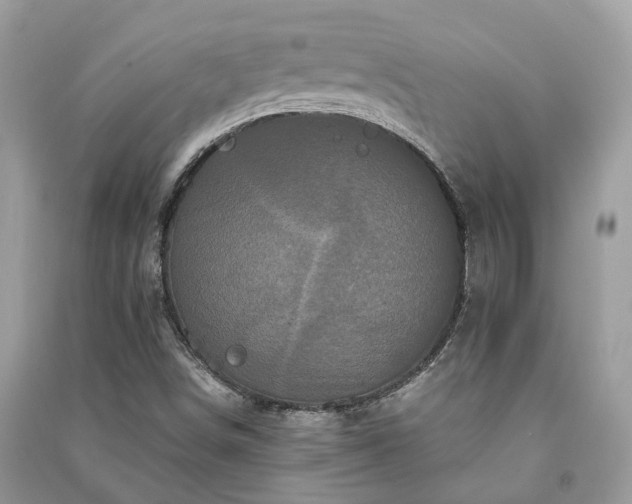 X0000090991498200708091508