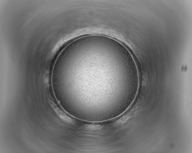 X0000090991499200708091508