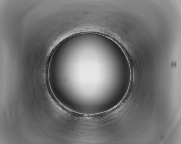 X0000090991500200708091508