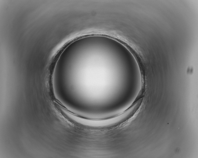 X0000090991502200708091508