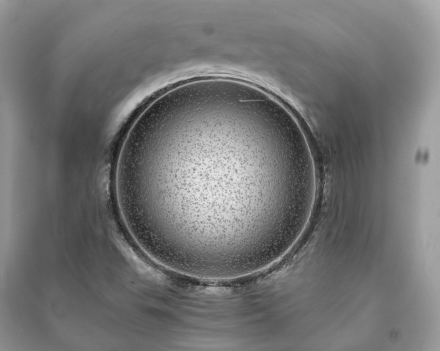 X0000090991503200708091508