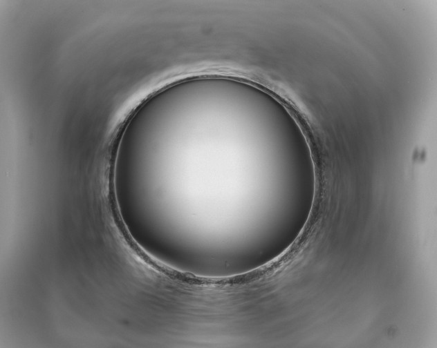 X0000090991504200708091508